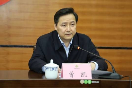 曾凯（广西壮族自治区党委机构编制委员会办公室（自治区绩效考评领导小组办公室）主任）