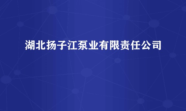 湖北扬子江泵业有限责任公司