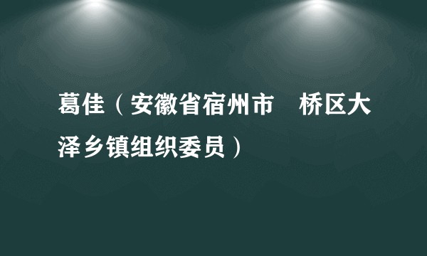 葛佳（安徽省宿州市埇桥区大泽乡镇组织委员）