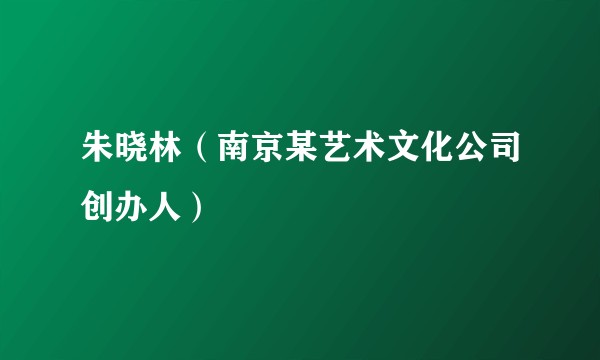朱晓林（南京某艺术文化公司创办人）