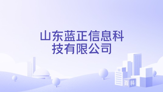 山东蓝正信息科技有限公司