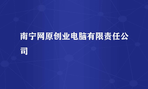 南宁网原创业电脑有限责任公司