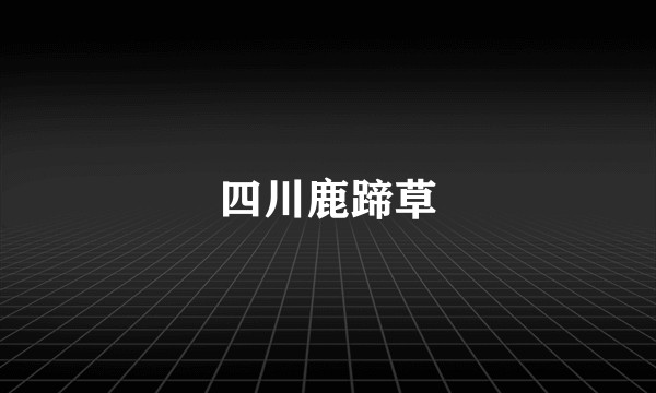 四川鹿蹄草