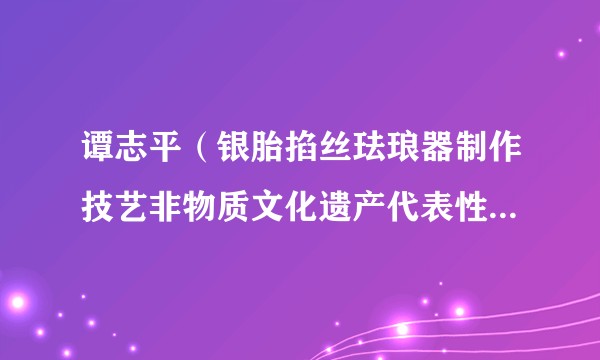 谭志平(银胎掐丝珐琅器制作技艺非物质文化遗产代表性传承人)