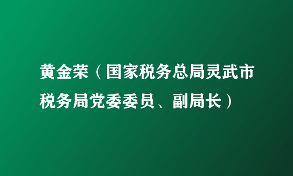 黄金荣（国家税务总局灵武市税务局党委委员、副局长）