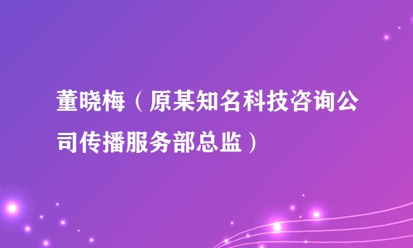 董晓梅（原某知名科技咨询公司传播服务部总监）