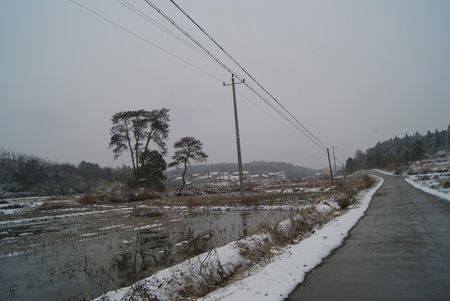 杨林村（湖南省宁乡市花明楼镇下辖村）