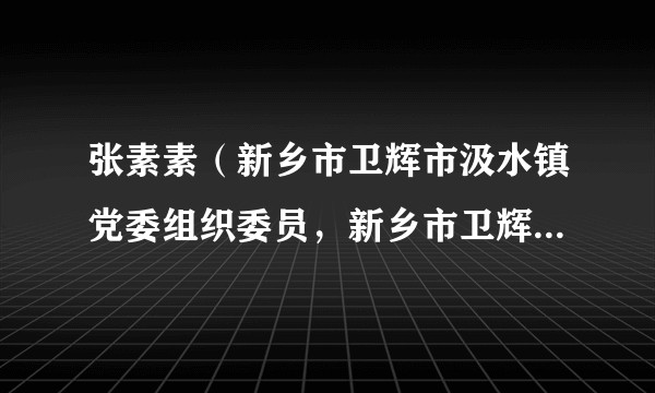 张素素(新乡市卫辉市汲水镇党委组织委员,新乡市卫辉市汲水镇下园村驻村第一团支部书记)
