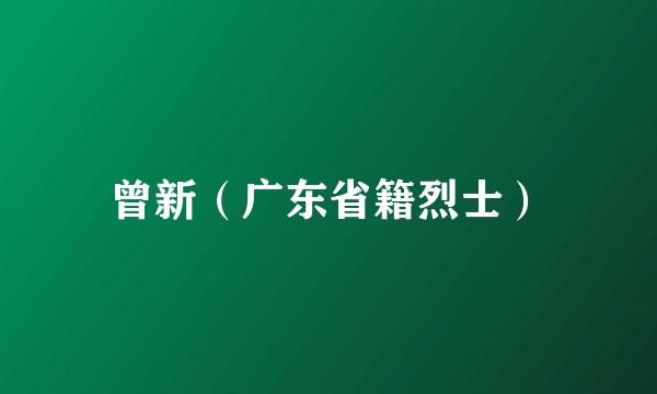 曾新（广东省籍烈士）