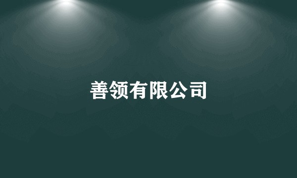 善领有限公司