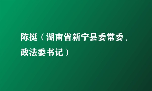 陈挺（湖南省新宁县委常委、政法委书记）