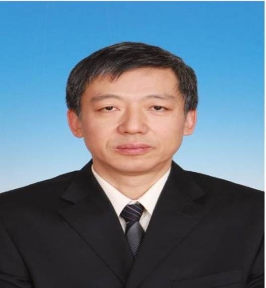 顾文（南开大学化学学院副教授）