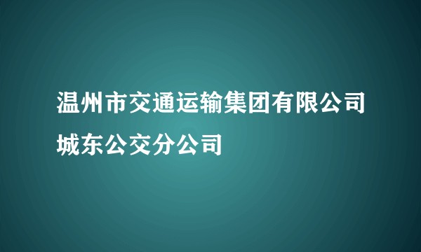 温州市交通运输集团有限公司城东公交分公司