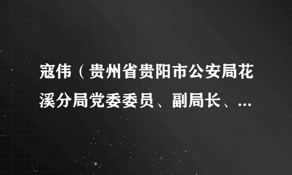 寇伟（贵州省贵阳市公安局花溪分局党委委员、副局长、四级高级警长）