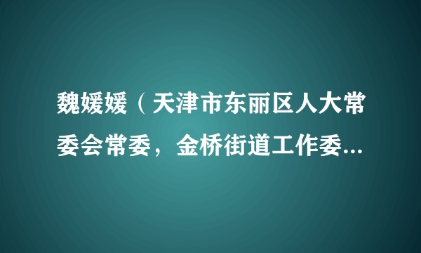 魏媛媛（天津市东丽区人大常委会常委，金桥街道工作委员会主任、副书记、办事处主任）