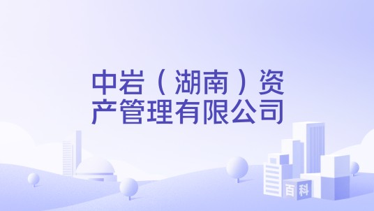 中岩（湖南）资产管理有限公司