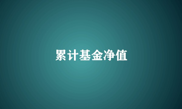 累计基金净值