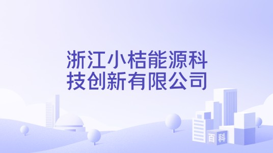 浙江小桔能源科技创新有限公司