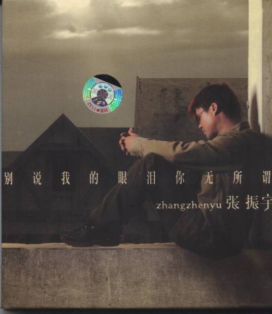 别说我的眼泪你无所谓(2004年张振宇演唱的歌曲)