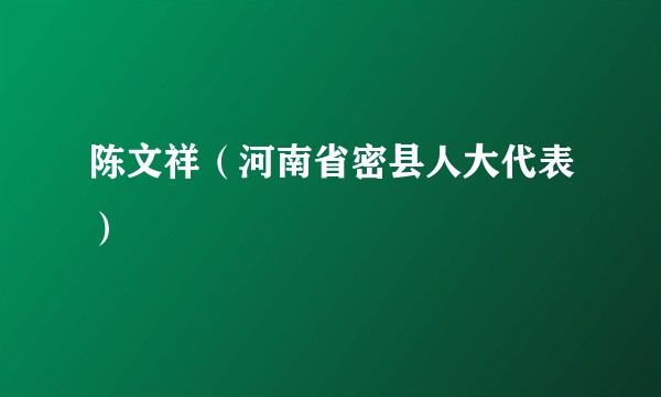陈文祥（河南省密县人大代表）