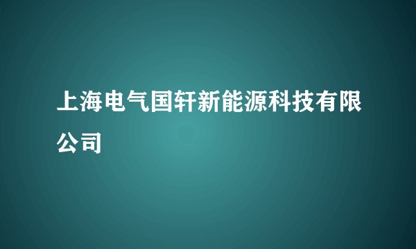 上海电气国轩新能源科技有限公司