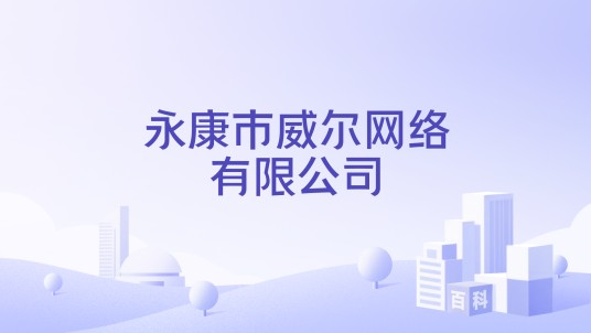 永康市威尔网络有限公司
