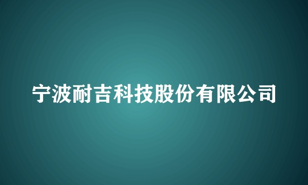 宁波耐吉科技股份有限公司