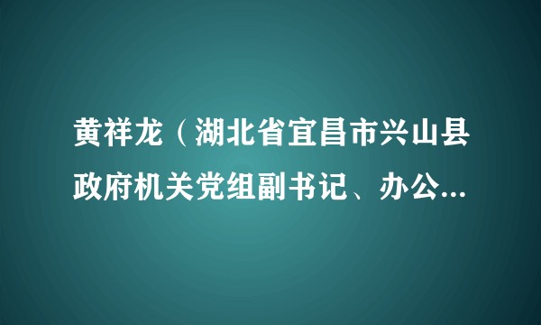 黄祥龙（湖北省宜昌市兴山县政府机关党组副书记、办公室副主任）
