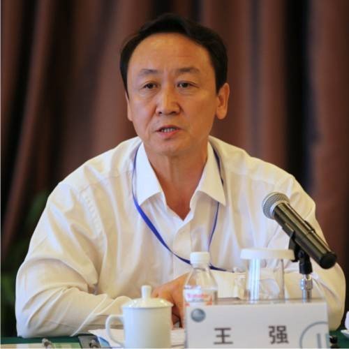 王强(海南省水务厅原厅长)