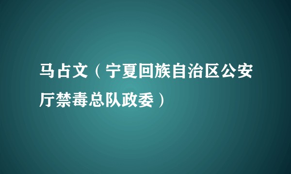马占文(宁夏回族自治区公安厅禁毒总队政委)