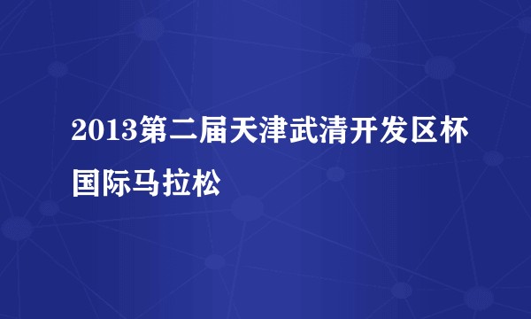 2013第二届天津武清开发区杯国际马拉松