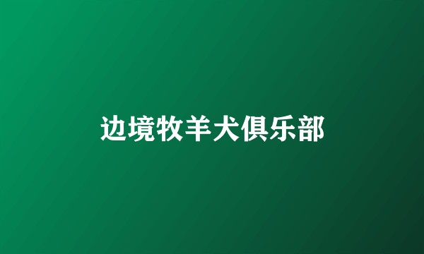 边境牧羊犬俱乐部