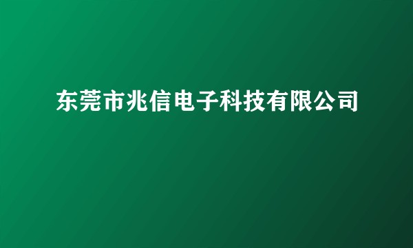 东莞市兆信电子科技有限公司