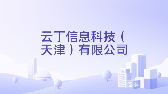 云丁信息科技（天津）有限公司
