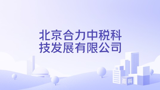 北京合力中税科技发展有限公司