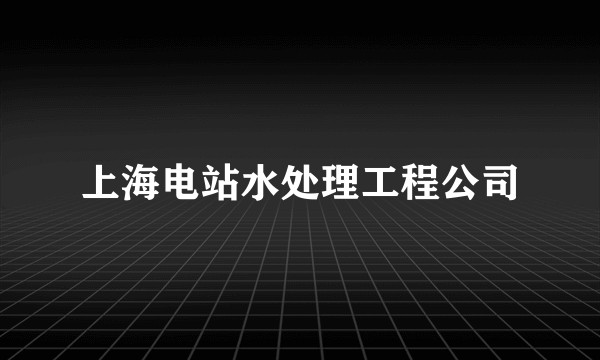 上海电站水处理工程公司