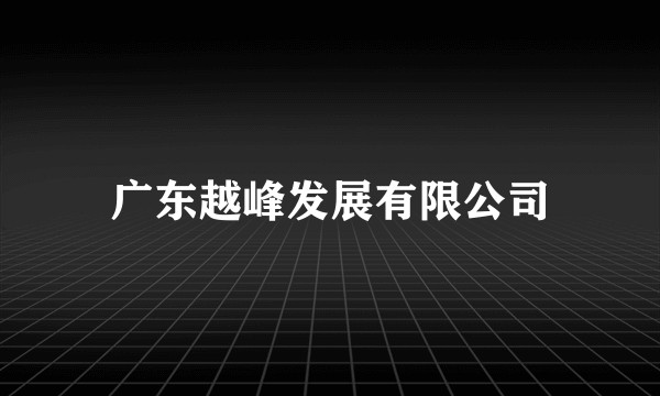 广东越峰发展有限公司