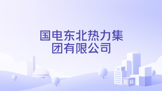 国电东北热力集团有限公司