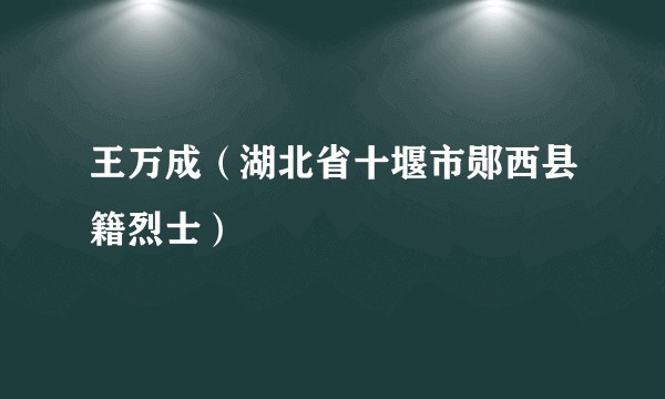 王万成（湖北省十堰市郧西县籍烈士）