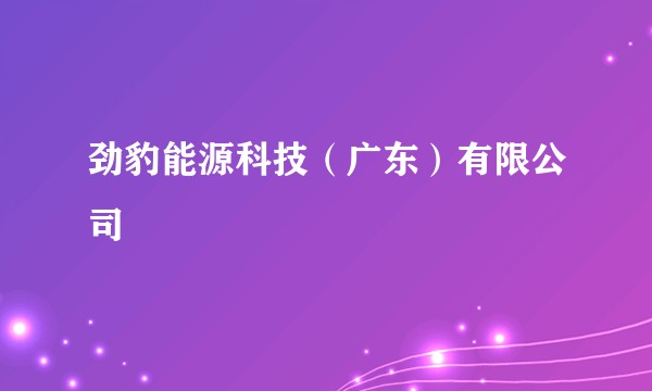 劲豹能源科技（广东）有限公司
