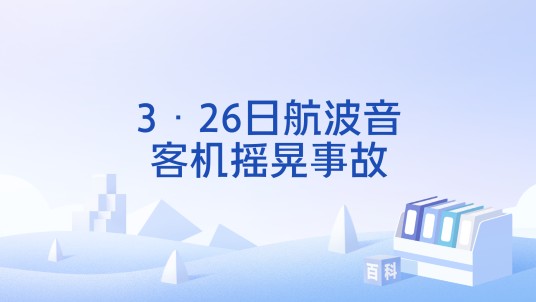 3·26日航波音客机摇晃事故