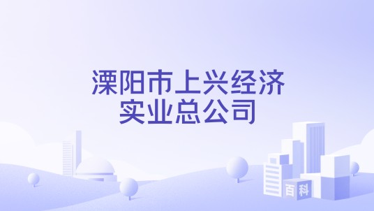 溧阳市上兴经济实业总公司