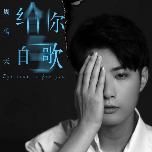 给你的歌(周禹天演唱歌曲)
