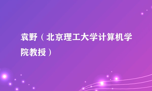 袁野(北京理工大学计算机学院教授)