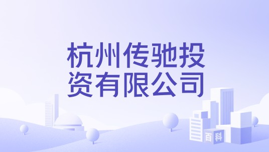 杭州传驰投资有限公司