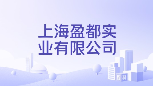 上海盈都实业有限公司