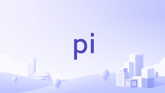 pi（美国电源管理技术公司）