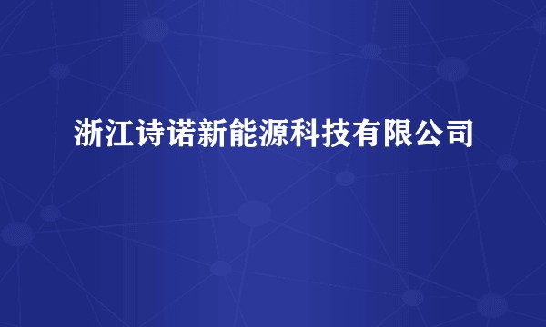 浙江诗诺新能源科技有限公司