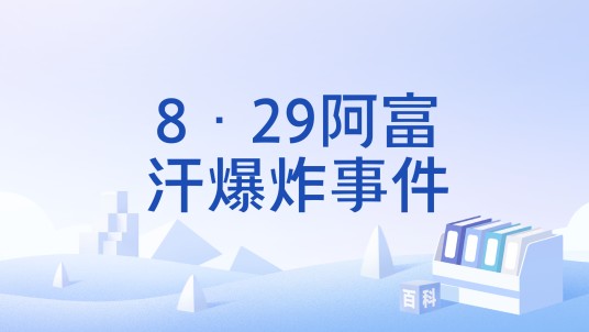 8·29阿富汗爆炸事件