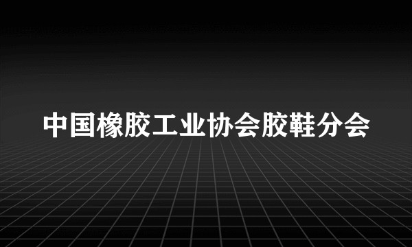 中国橡胶工业协会胶鞋分会
